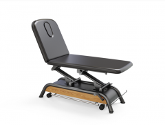 Milton Russell Electric Spa Treatment Table