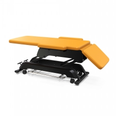 Premier Basic Electric Treatment Table Electric Massage Table Exam Couch