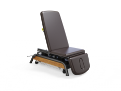 Milton Treatment Cabell Adjustable electric treatment table