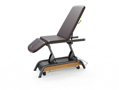 Milton Treatment Cabell Adjustable electric treatment table