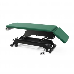 Premier Basic Electric Treatment Table Electric Massage Table Exam Couch